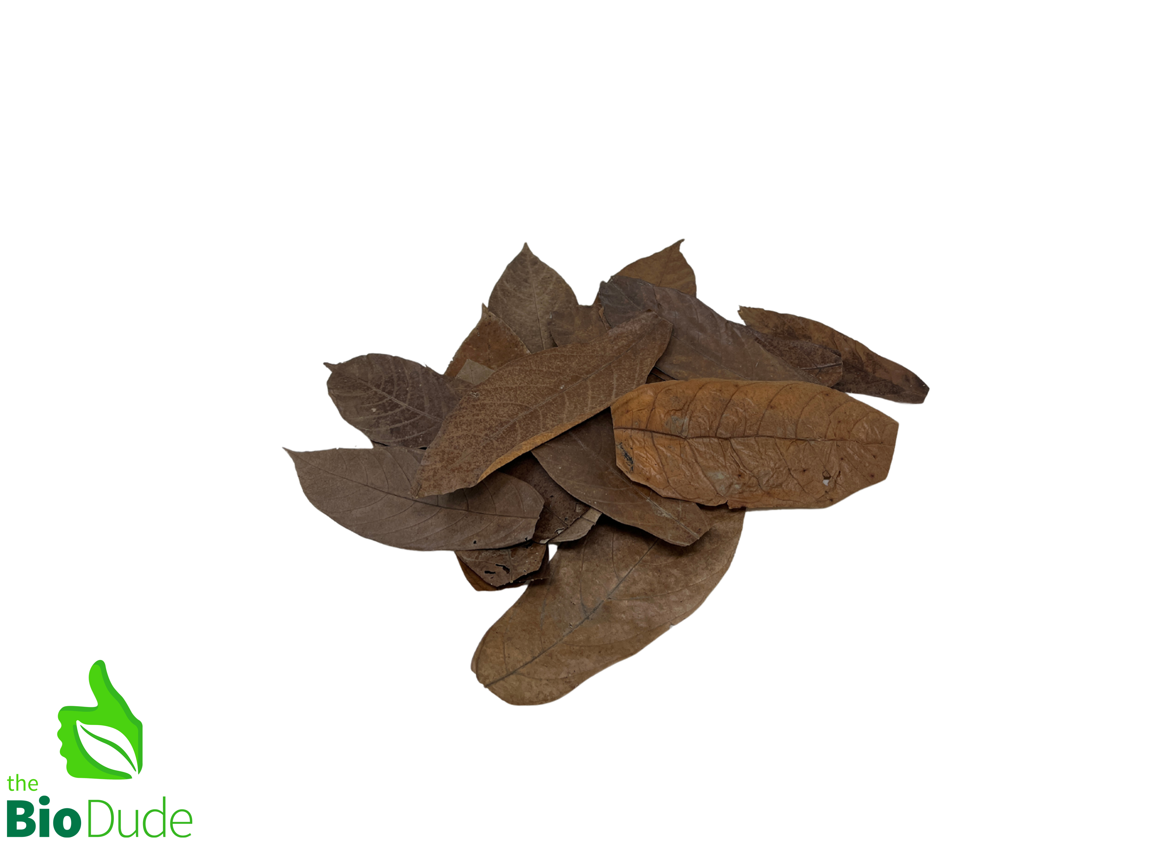 Colombian Leaf Litter - Cacao Leaves - 20 count