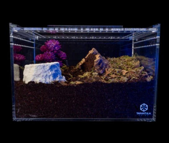 Tarantula Cribs - Large Slider Crib Pro - 12"x8"x8" Premium Acrylic Enclosure