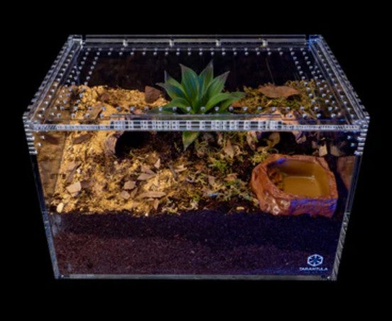 Tarantula Cribs - Large Slider Crib Pro - 12"x8"x8" Premium Acrylic Enclosure