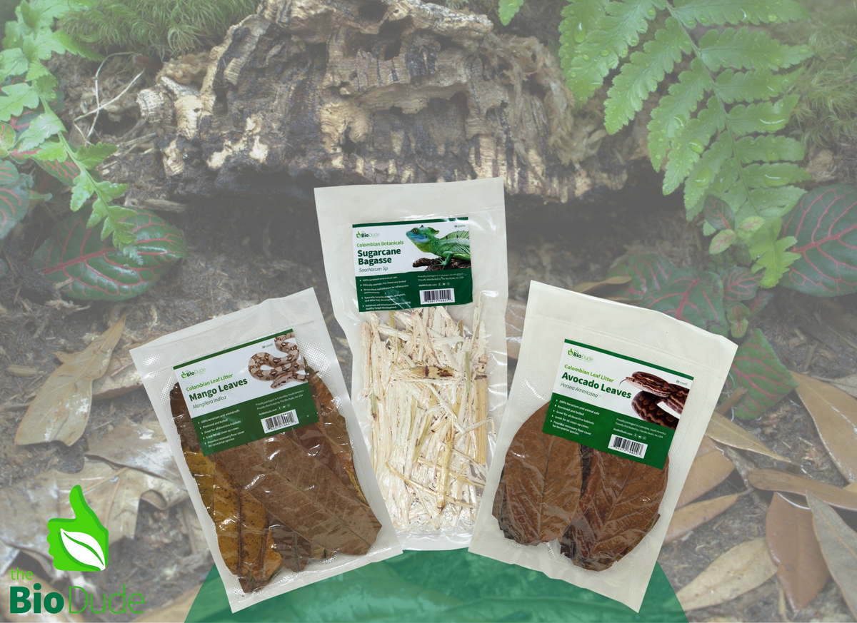 The Bio Dude | Colombian Leaf Litter 3 pack of mixed types | Terrarium safe and ready to use | DS