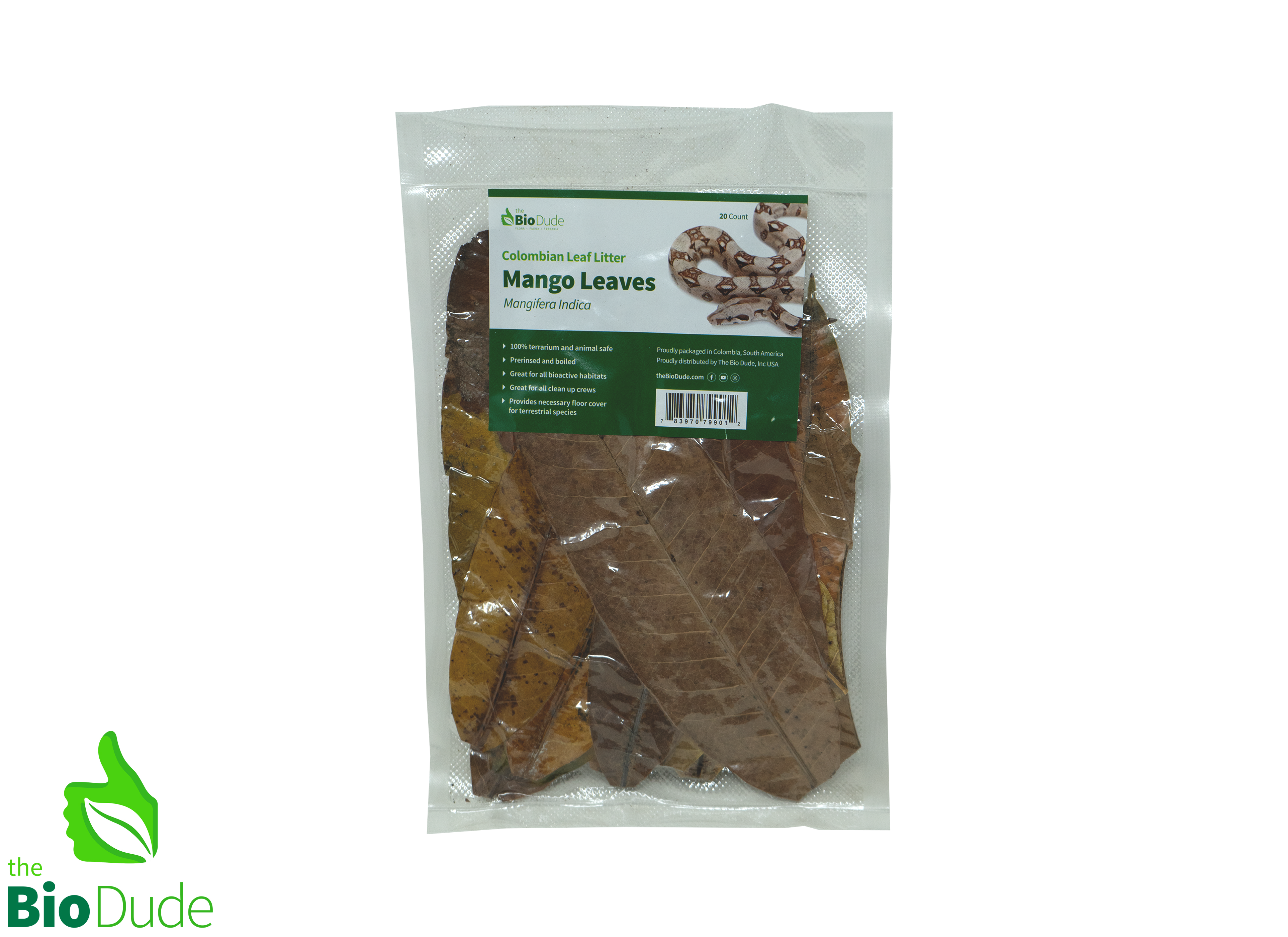 Colombian Leaf Litter - Mango Leaves - Mangifera Indica 20 count