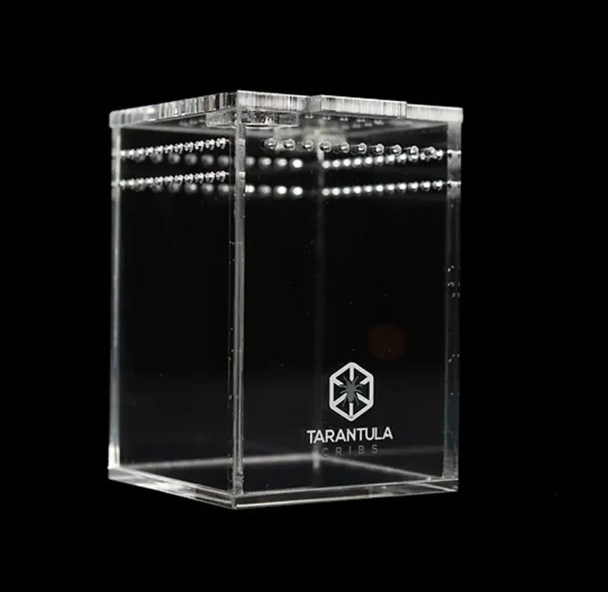 Tarantula Cribs - OG Sling Crib - 2"x2"x3" Original Game-Changing Acrylic Enclosure