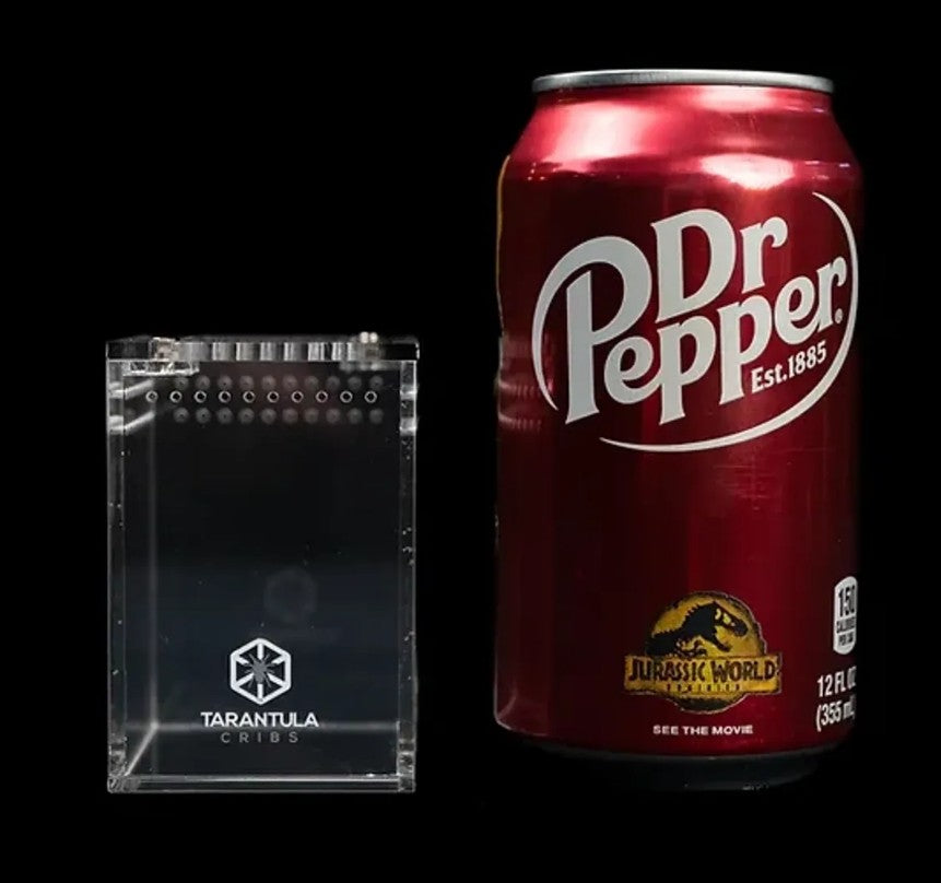 Tarantula Cribs - OG Sling Crib - 2"x2"x3" Original Game-Changing Acrylic Enclosure