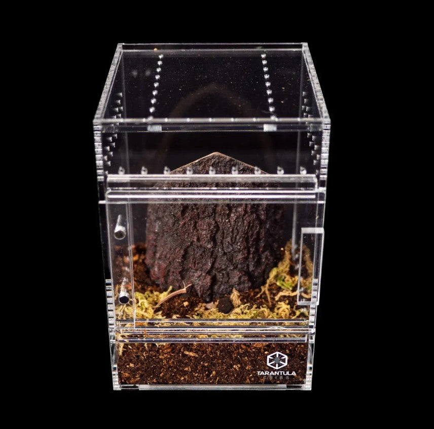 Tarantula Cribs - Small Treehouse Crib - 4"x4"x6" Premium Arboreal Acrylic Enclosure