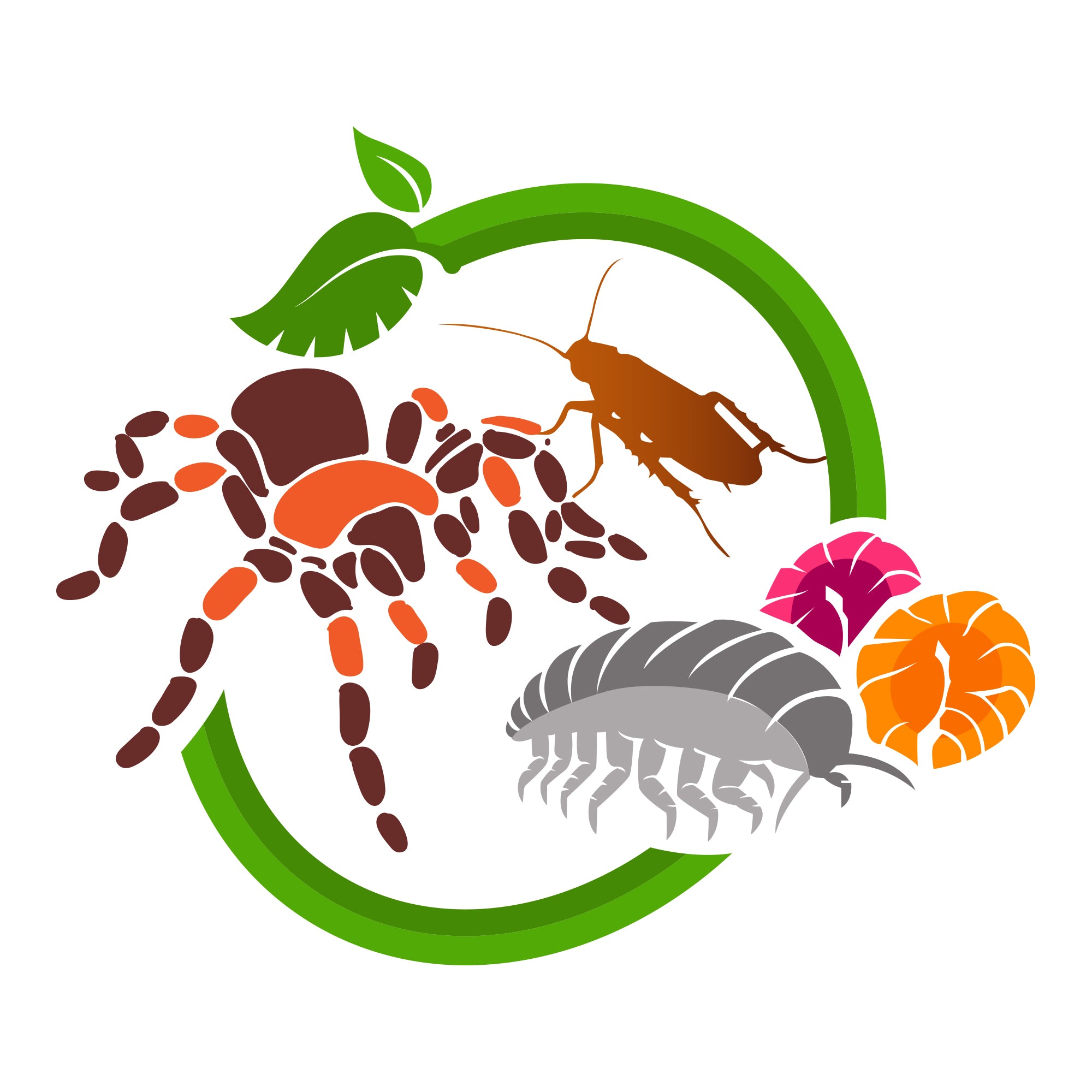 Premium Springtail Food - 2oz Organic Culture Supplement for Sale