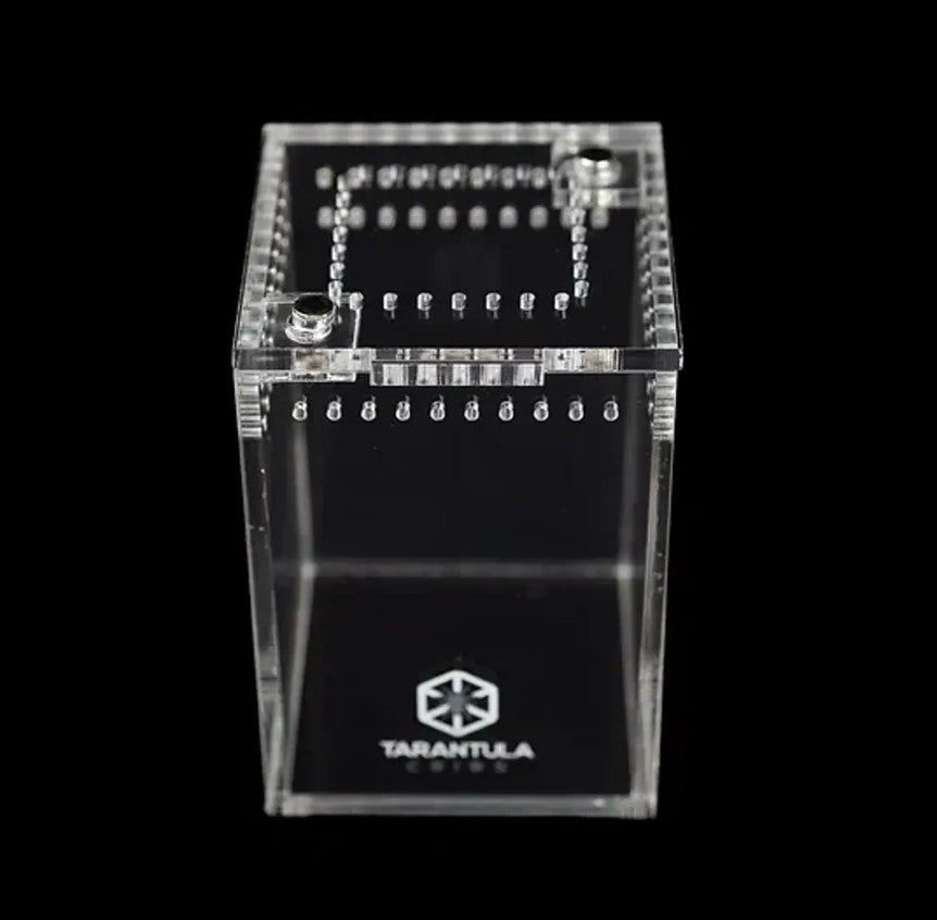 Tarantula Cribs - OG Sling Crib - 2"x2"x3" Original Game-Changing Acrylic Enclosure