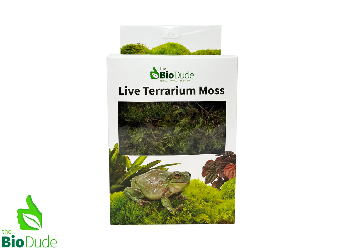 The Bio Dude | Live Pillow Moss for Bioactive Terrariums | Green, lush moss | DS